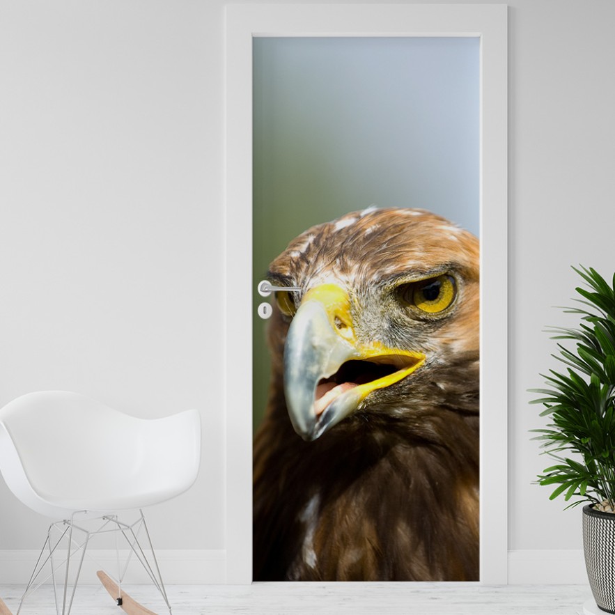 Vinilo para puerta águila