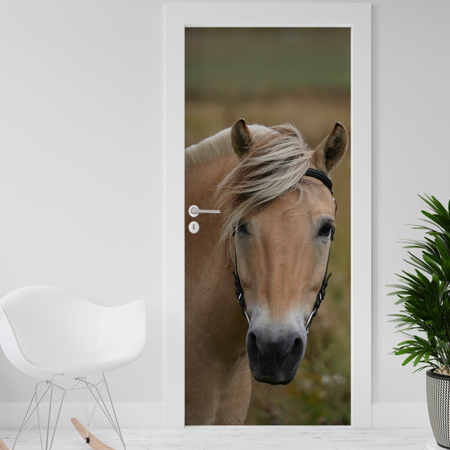 Vinilo para puerta caballo