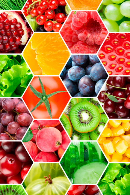 Vinilos collage frutas y hortalizas electrodomésticos neveras