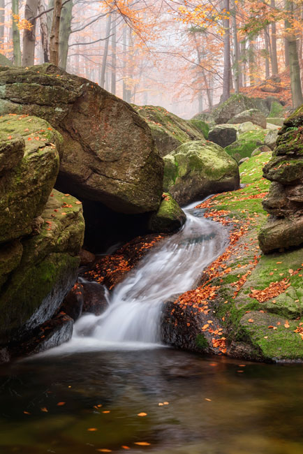Vinilos y pegatinas puertas cascada en otoño