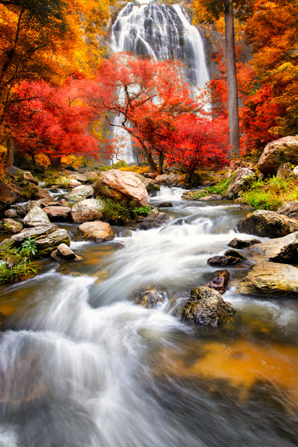 Vinilos puertas cascada bosque