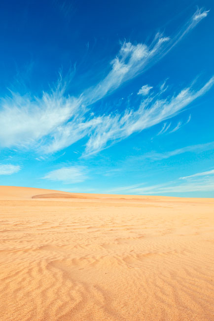 Vinilos para puertas dunas desierto