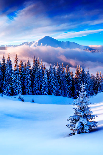 Vinilos y pegatinas puertas montañas nevadas