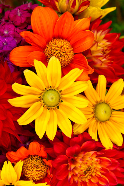 Vinilos flores para decorar puertas y armarios