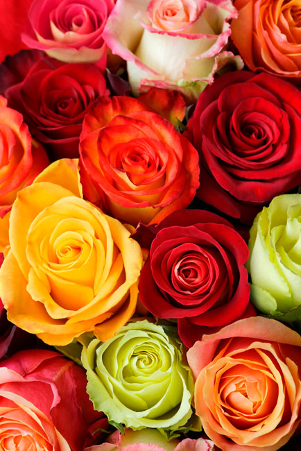 Vinilos decorativos de puertas rosas de colores