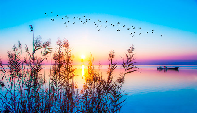 Papel pintado amanecer en el lago