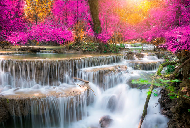 Fotomural paisaje con cascadas en el bosque