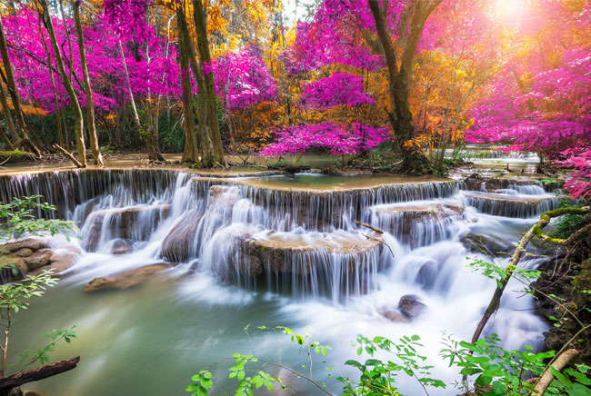 Fotomural paisaje otoñal cascadas en el bosque