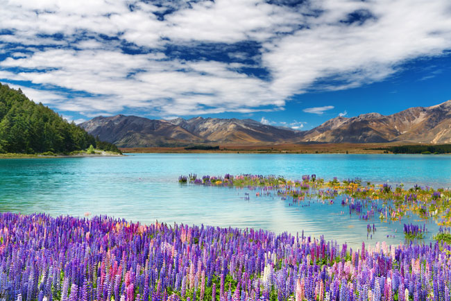 Fotomurales lago tékapo nueva zelanda