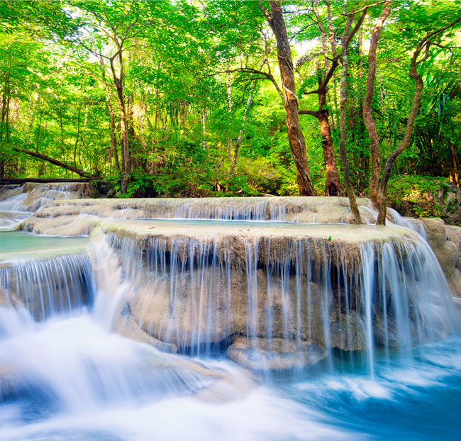 Fotomural cascadas en el bosque