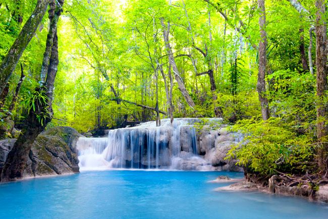 Fotomural paisaje cascadas en el bosque