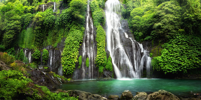 Fotomural cascada en selva tropical