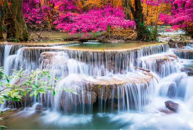 Fotomural paisaje con cascada y flores