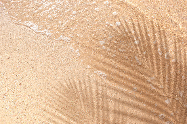 Papel pintado o fotomural sombra de palmera en arena playa