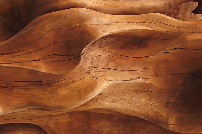 Papel pintado o fotomural detalle textura madera textura