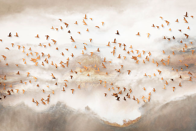 Fotomural o papel pintado paisaje pajaros dorados
