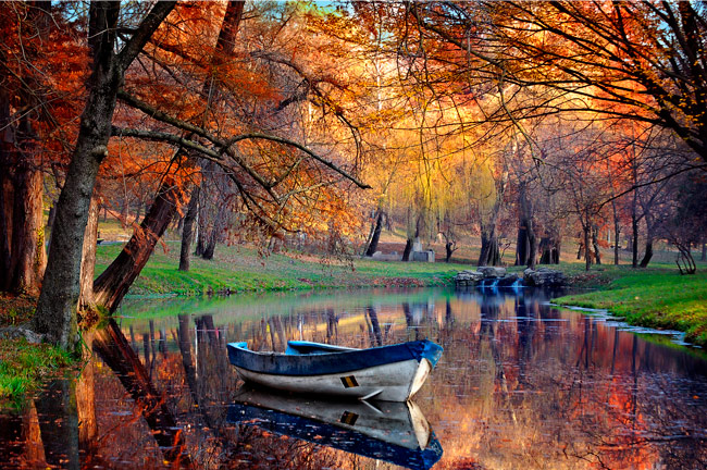 Fotomural o papel pintado bote en el lago