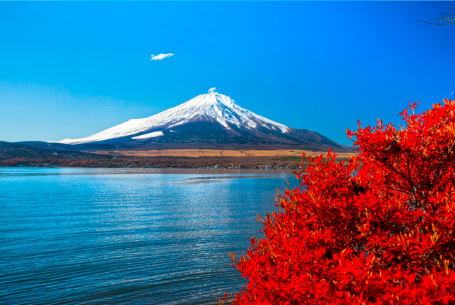 Fotomural o papel pintado paisaje lago kawaguchi monte fuji