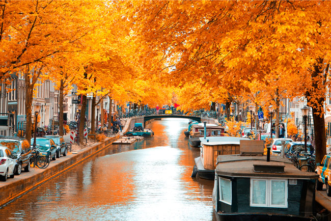 Fotomural paisaje amsterdam en otoño