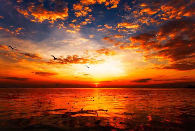 Fotomural atardecer con sol sobre el mar