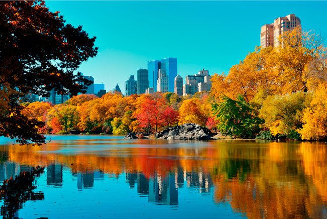Fotomural lago central park nueva york