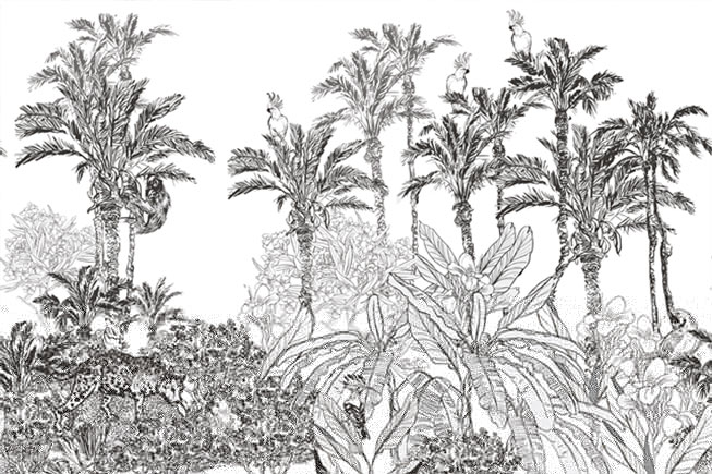 Fotomural o papel pintado dibujo selva tropical palmeras y aves