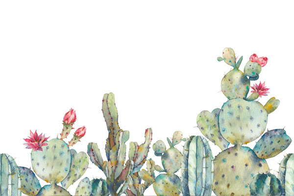 Fotomural cactus estilo acuarela juvenil moderno