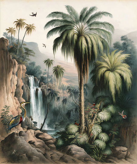 Fotomural o papel pintado paisaje cascada y aves tropicales