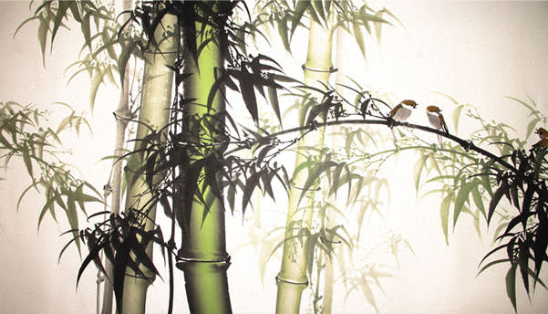 Fotomural o papel pintado paisaje bambú zen