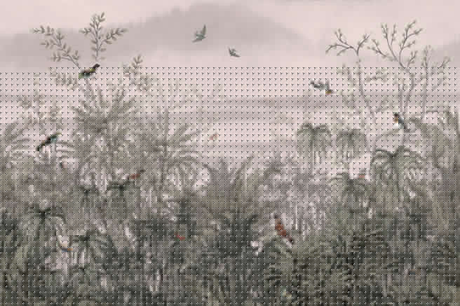 Fotomural o papel pintado paisaje dibujo flores y pájaros