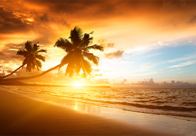 Fotomural atardecer palmeras en la playa