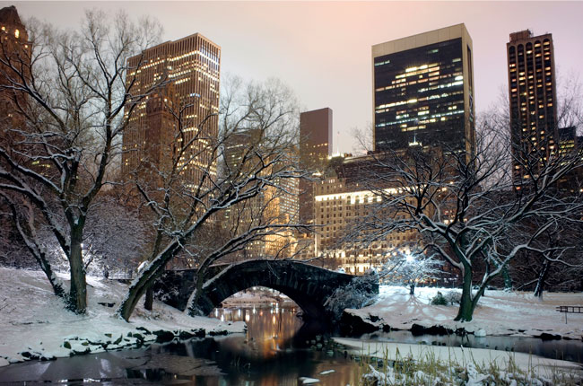 Fotomural parque central park nueva york