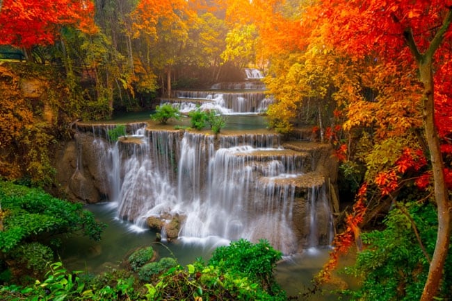 Papel pintado paisaje con cascadas y árboles en otoño
