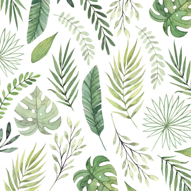 Fotomural o patrón con hojas de plantas para decorar