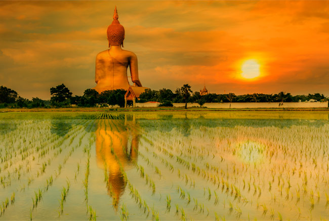 Fotomurales gran buda tailandia