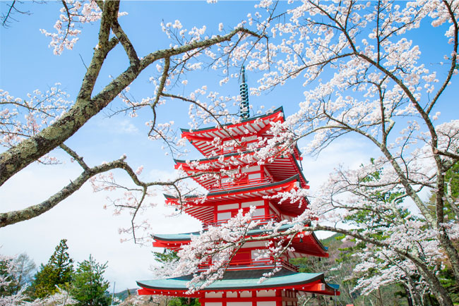 Fotomural o papel pintado paisaje pagoda japón