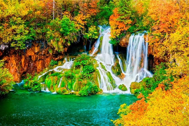Fotomural cascada bosque otoñal
