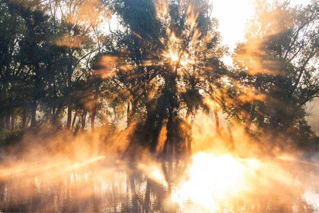 Fotomural o papel pintado rayos de sol en el río