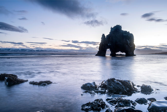 Fotomural roca dinosaurio hvítserkur islandia