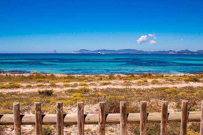 Fotomural o papel pintado playa en formentera