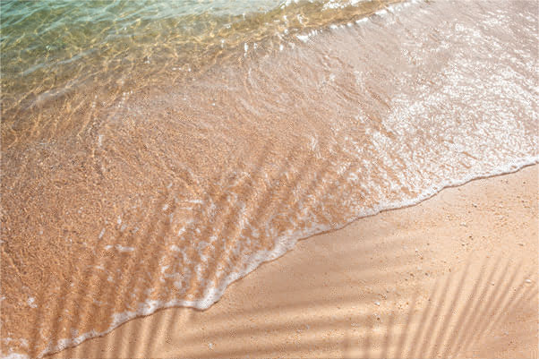 Papel pintado o fotomural orilla playa con sombra de palmera