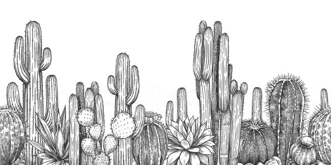Papel pintado o fotomural dibujo cactus blanco y negro