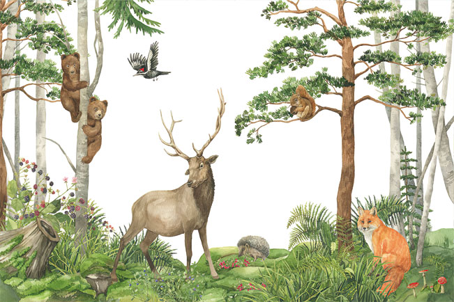 Papel pintado o fotomural ilustración animales bosque