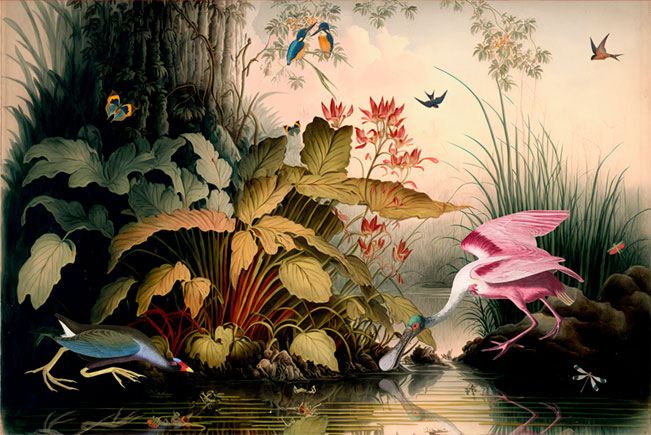 Papel pintado o fotomural ilustración vintage lago