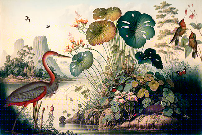 Papel pintado o fotomural vintage paisaje humedal aves