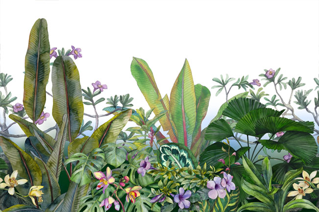 Papel pintado o fotomural plantas tropicales en acuarela