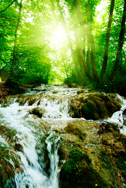 Vinilos puertas naturaleza cascada en el bosque