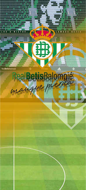 Vinilos juveniles puertas estadio benito villamarín real betis balompié