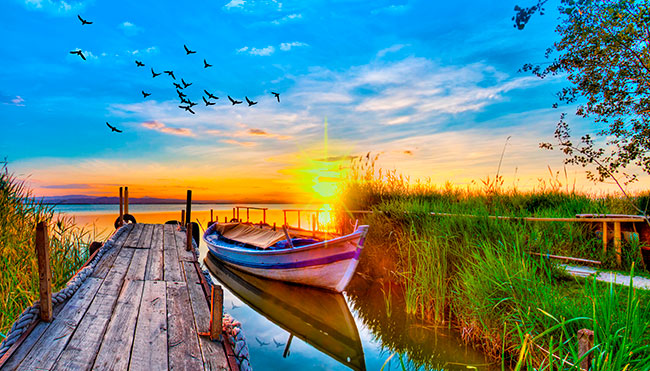 Fotomural o papel pintado paisaje albufera al amanecer