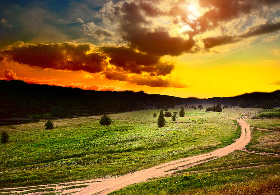 Fotomural Atardecer Pradera